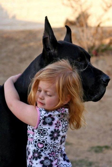 Фото Дети и собаки: обнимашки. Коллекция 51 супер милых фото из раздела  /