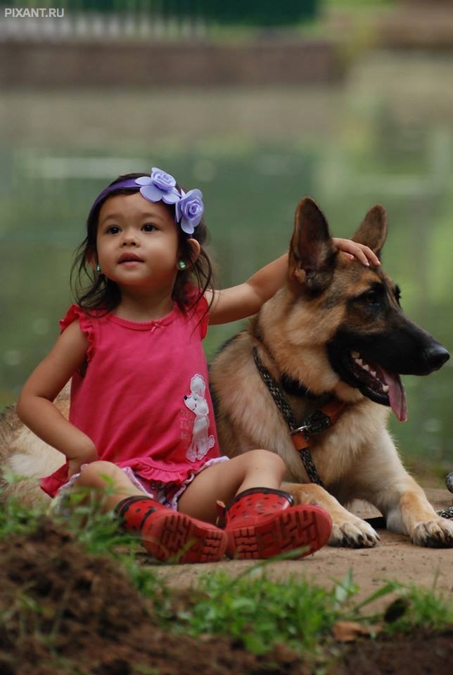 Фото Дети и собаки: лучшие друзья (подборка 20 фото) из раздела /