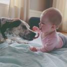 Фото Дети и собаки: лицом к лицу (чудесная подборка из 27 милых фото) из раздела  /