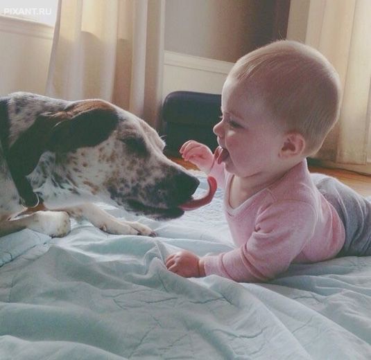 Фото Дети и собаки: лицом к лицу (чудесная подборка из 27 милых фото) из раздела  /