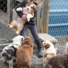 Фото Дети и собаки: лучшие друзья (подборка 20 фото) из раздела  /