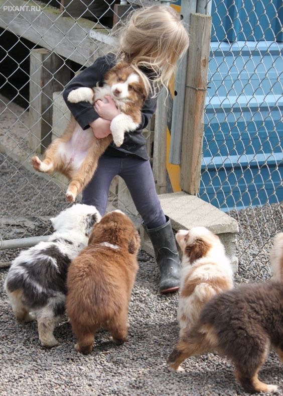 Фото Дети и собаки: лучшие друзья (подборка 20 фото) из раздела /