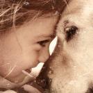 Фото Дети и собаки: лицом к лицу (чудесная подборка из 27 милых фото) из раздела  /