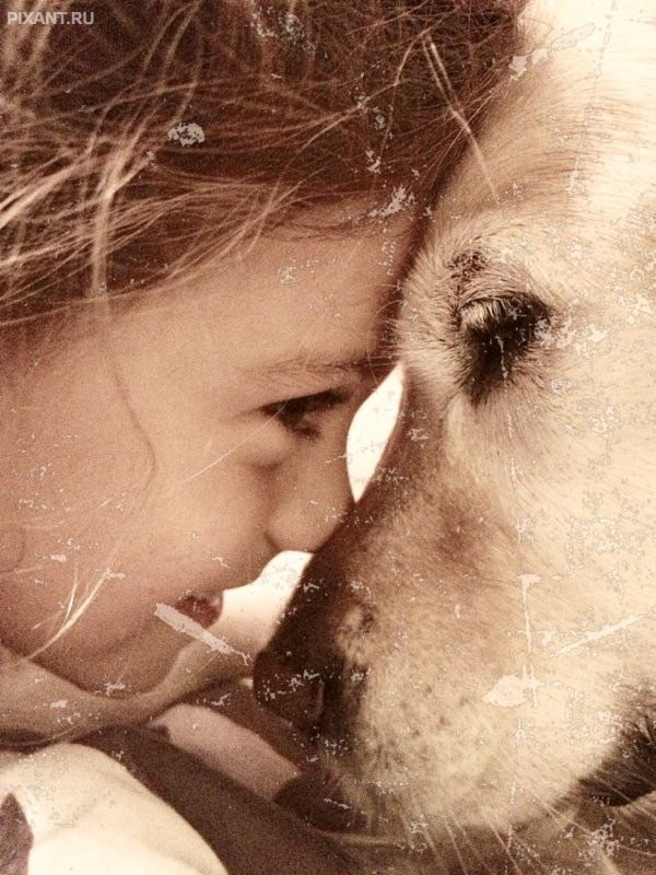 Фото Дети и собаки: лицом к лицу (чудесная подборка из 27 милых фото) из раздела  /