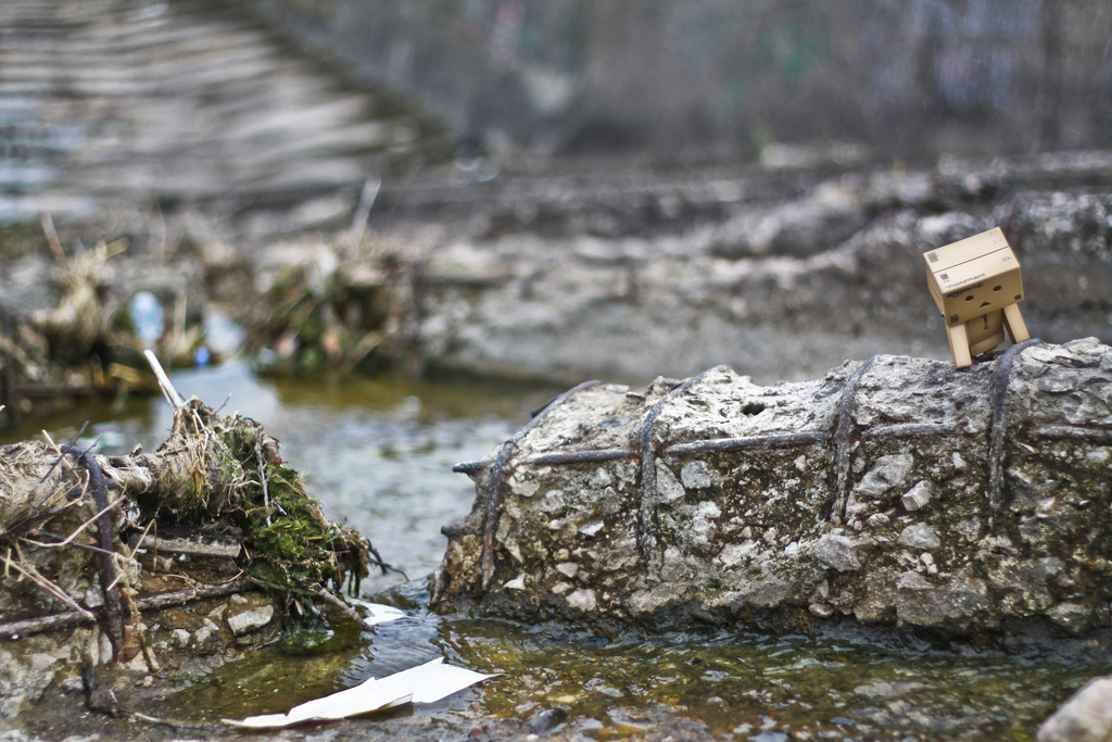 Фото Данбо в России 2: путешествие человечка из картонных коробок (34  фото) из раздела  /