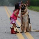 Фото Дети и собаки гуляют вместе (подборка из 24 фото) из раздела /