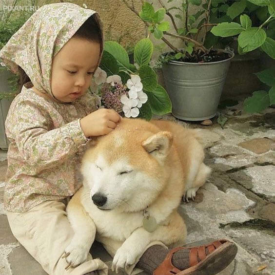 Фото Маленькие детки и собачки (подборка из 22 фото) из раздела  /