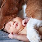 Фото Подборка из 21 милых фото: Спящие дети и собаки. Ми-ми-ми... из раздела  /