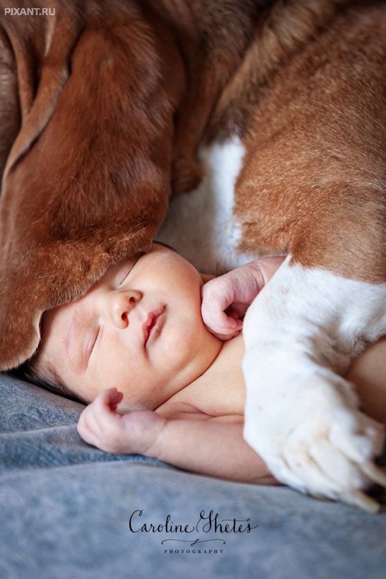 Фото Подборка из 21 милых фото: Спящие дети и собаки. Ми-ми-ми... из раздела  /
