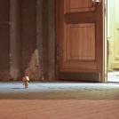 Фото Путешествие картонного человечка Данбо по России (24 фото) из раздела  /