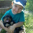 Фото Дети и собаки гуляют вместе (подборка из 24 фото) из раздела  /