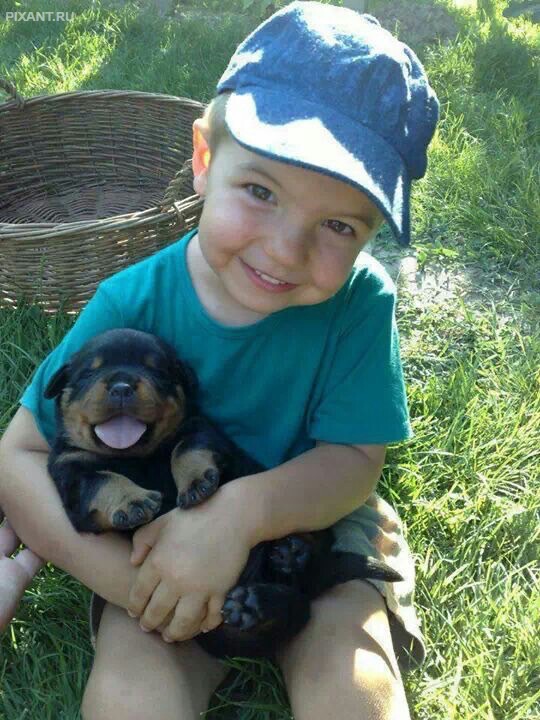 Фото Дети и собаки гуляют вместе (подборка из 24 фото) из раздела  /