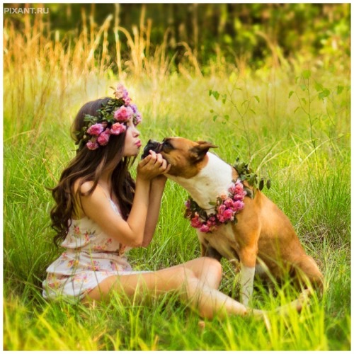 Фото Дети и собаки: лицом к лицу (чудесная подборка из 27 милых фото) из раздела  /
