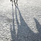 Фото Креативный фотограф Тим Флэч и его животные (46 фото) из раздела  /