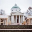 Фото Третье путешествие человечка из картонных коробок по России (39  фото) из раздела  /