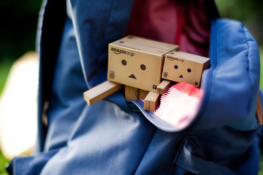 Фото Третье путешествие человечка из картонных коробок по России (39  фото) из раздела  /