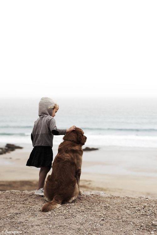 Фото Дети и собаки гуляют вместе (подборка из 24 фото) из раздела  /