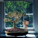 Фото Приключения человечка из картонной коробки Данбо: 131 фото из раздела  /