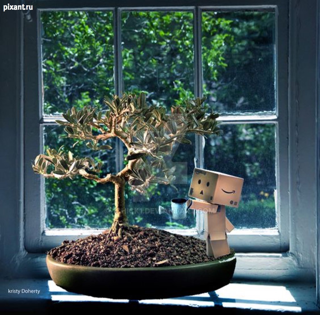 Фото Приключения человечка из картонной коробки Данбо: 131 фото из раздела  /