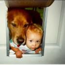 Фото Нет я первый! из раздела  /