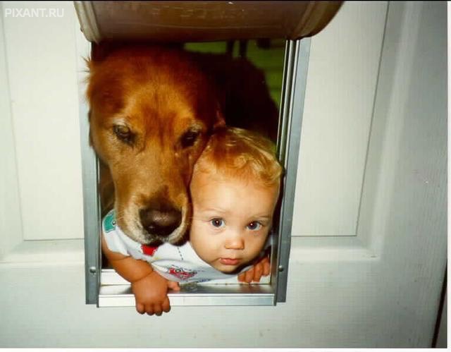 Фото Нет я первый! из раздела  /