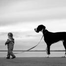 Фото Дети и собаки гуляют вместе (подборка из 24 фото) из раздела  /