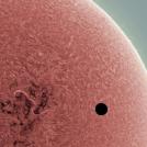 Alan Friedman. Amazing Sun