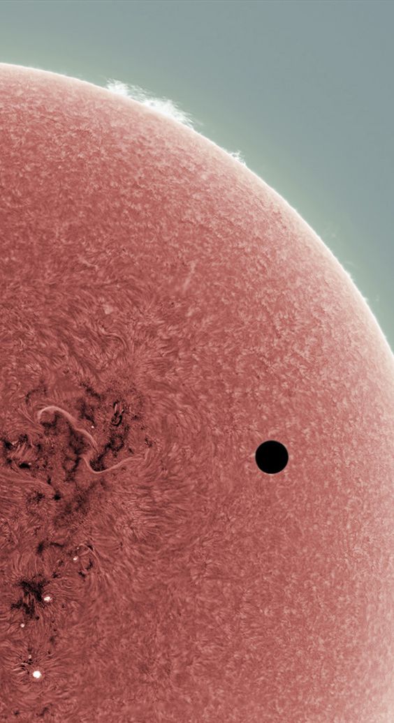 Alan Friedman. Amazing Sun