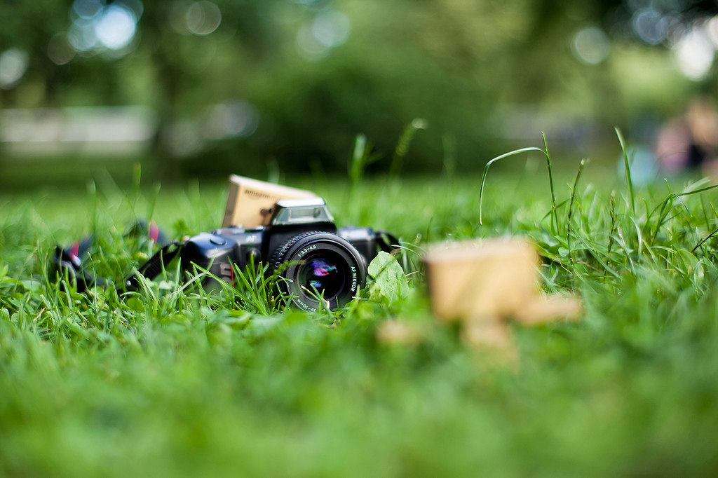 Фото Третье путешествие человечка из картонных коробок по России (39  фото) из раздела  /