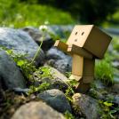 Фото Приключения человечка из картонной коробки Данбо: 131 фото из раздела  /