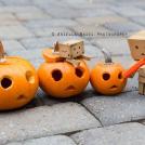 Фото Приключения человечка из картонной коробки Данбо: 131 фото из раздела  /