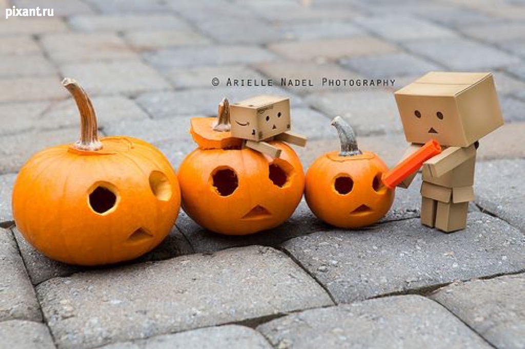 Фото Приключения человечка из картонной коробки Данбо: 131 фото из раздела  /