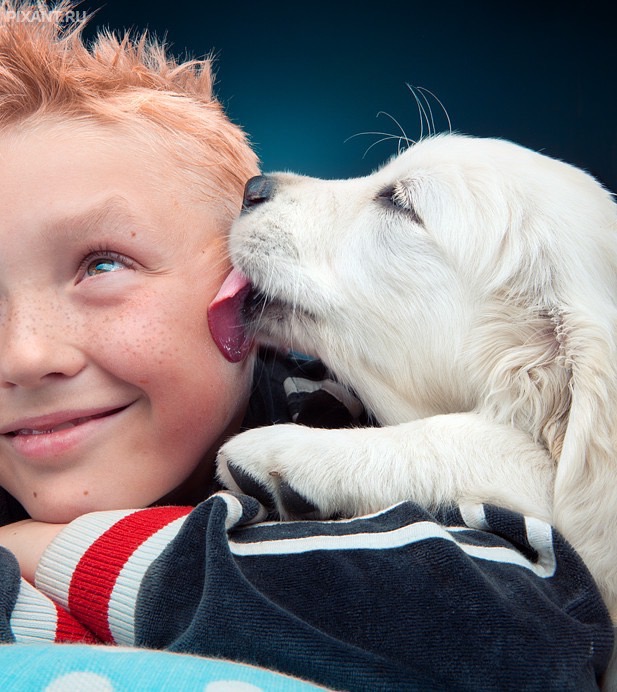 Фото Дети и собаки: обнимашки. Коллекция 51 супер милых фото из раздела  /
