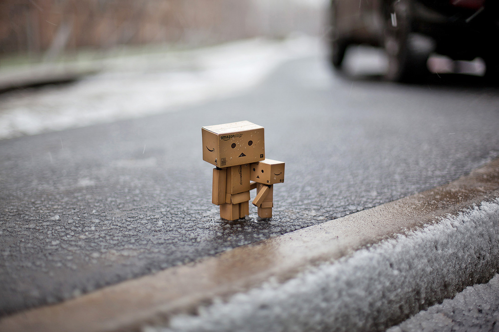 Фото Третье путешествие человечка из картонных коробок по России (39  фото) из раздела  /