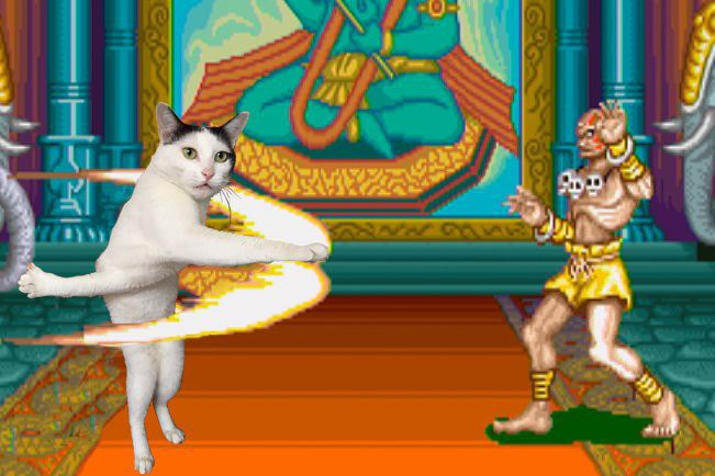 Фото Фотожабы на странного котейку из раздела  /