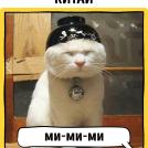 Фото Как в разных странах мира подзывают кошек из раздела  /