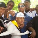 Фото Фотожабы на странного котейку из раздела  /