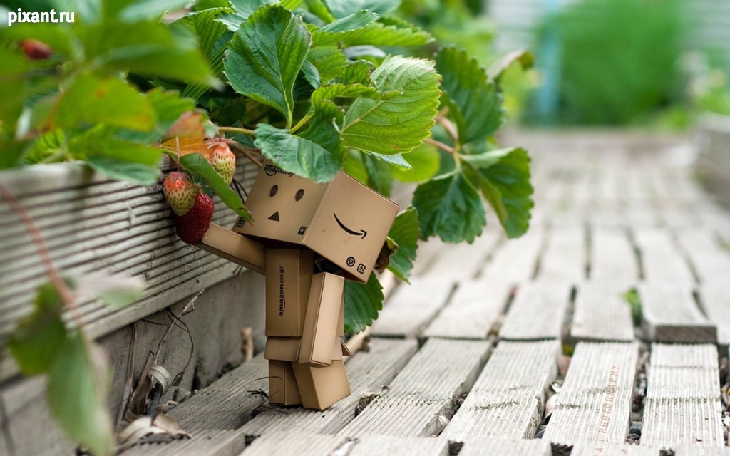 Фото Приключения человечка из картонной коробки Данбо: 131 фото из раздела /