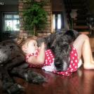 Фото Дети и собаки: лучшие друзья (подборка 20 фото) из раздела  /