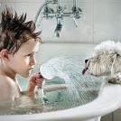 Фото Дети и собаки купаются вместе (позитивная подборка из 19 фото) из раздела /