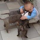 Фото Дети и собаки: обнимашки. Коллекция 51 супер милых фото из раздела  /