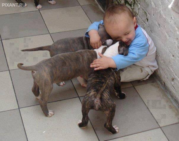 Фото Дети и собаки: обнимашки. Коллекция 51 супер милых фото из раздела  /