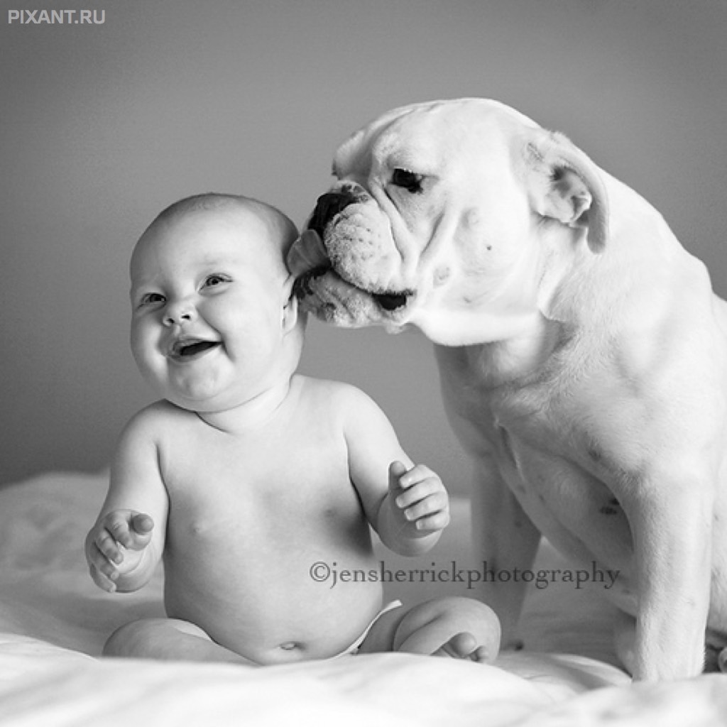 Фото Грудные дети и собаки (подборка из 35 фото) из раздела  /
