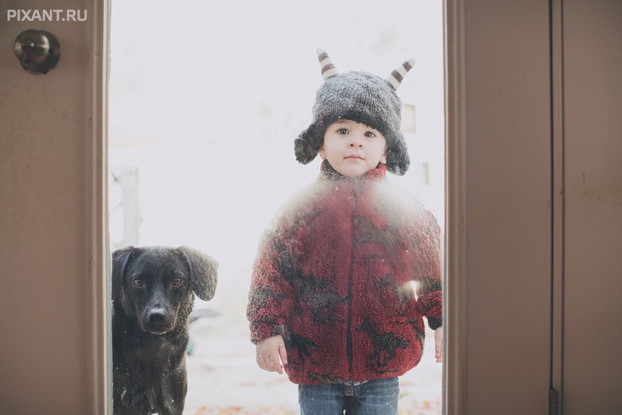 Фото Дети и собаки гуляют вместе (подборка из 24 фото) из раздела  /