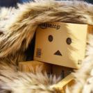 Фото Приключения человечка из картонной коробки Данбо: 131 фото из раздела /