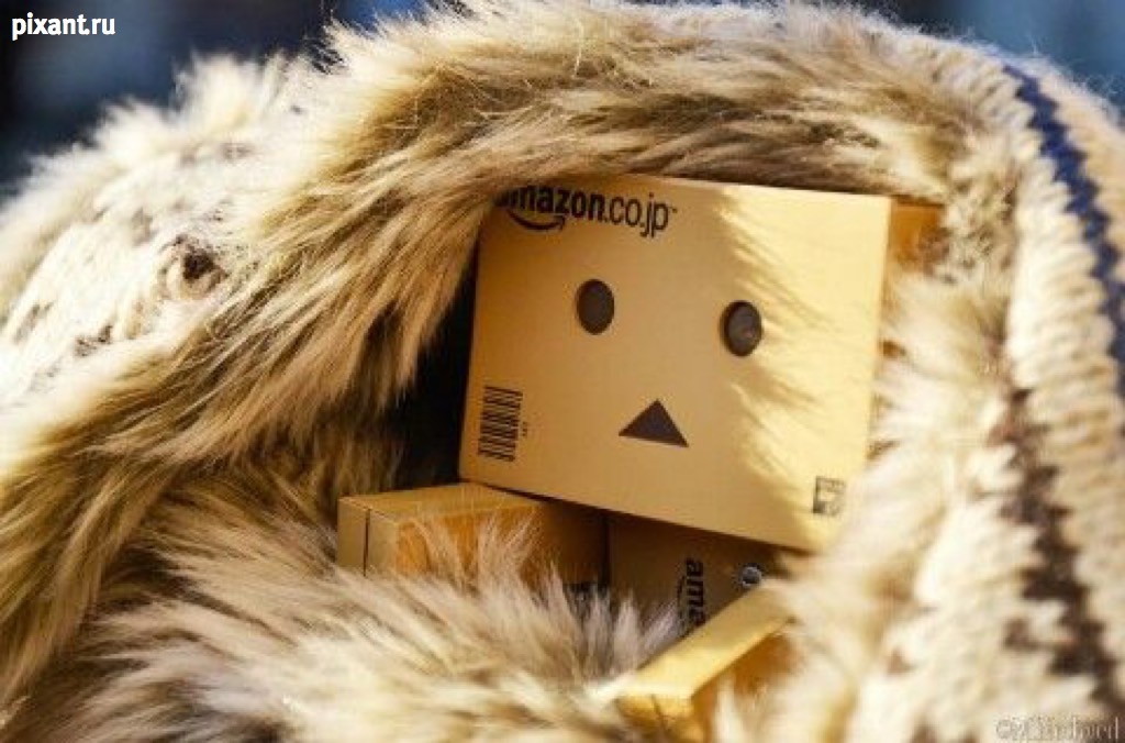 Фото Приключения человечка из картонной коробки Данбо: 131 фото из раздела  /