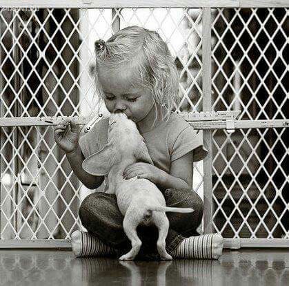 Фото Дети и собаки: обнимашки. Коллекция 51 супер милых фото из раздела  /