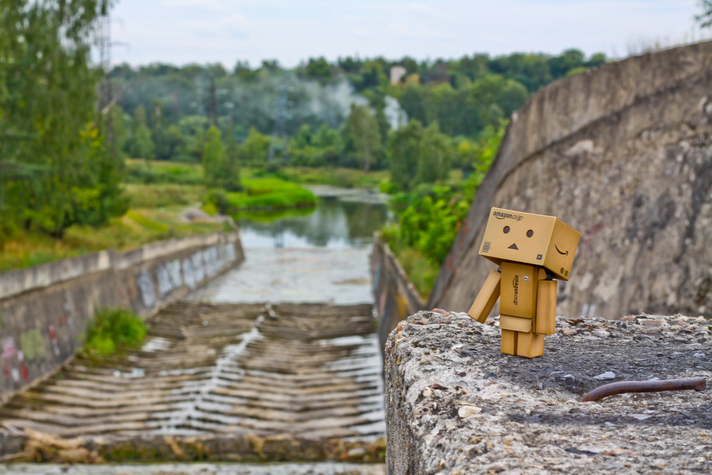 Фото Данбо в России 2: путешествие человечка из картонных коробок (34  фото) из раздела  /