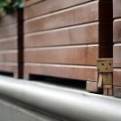 Фото Данбо в России 2: путешествие человечка из картонных коробок (34  фото) из раздела  /