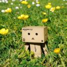 Фото Приключения человечка из картонной коробки Данбо: 131 фото из раздела  /